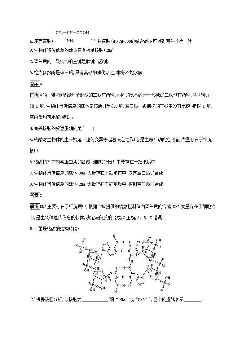 高中化学第四章生物大分子第三节核酸课后练习含解析新人教版选择性必修第三册第2页