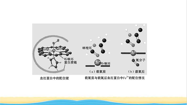 高中化学第三章晶体结构与性质第四节配合物与超分子课件新人教版选择性必修第二册第7页