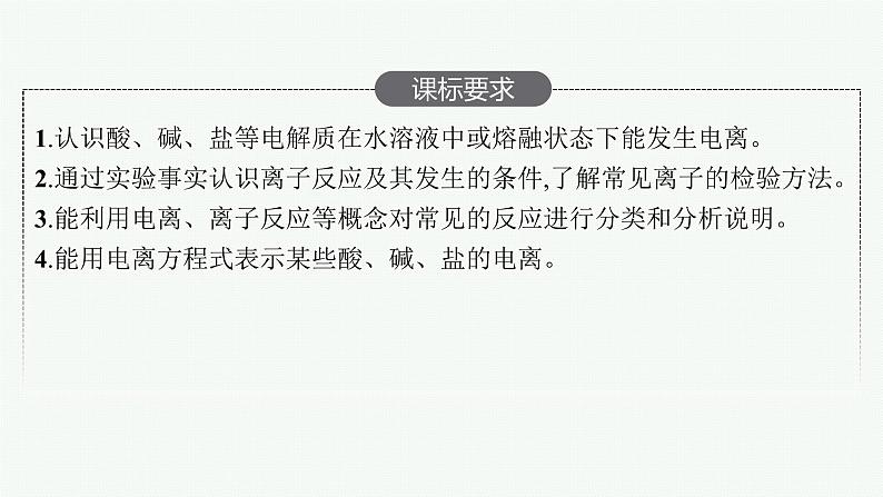 人教版新高考化学一轮复习课件--离子反应第2页