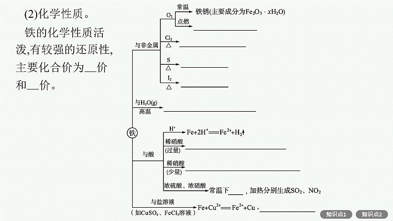 人教版新高考化学一轮复习课件--铁及其化合物第7页