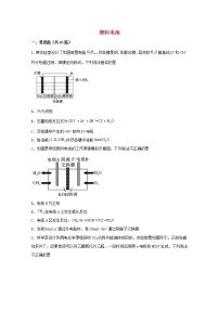 2022届高三化学一轮复习化学反应原理题型必练55燃料电池含解析