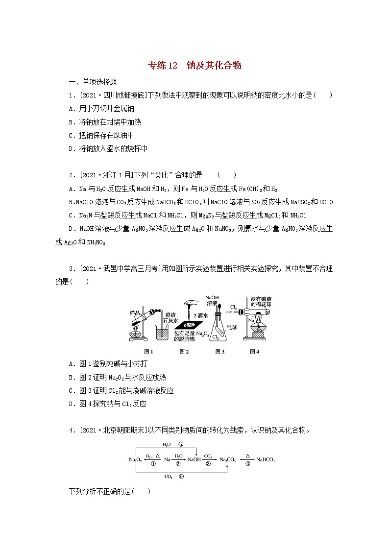 2022高考化学一轮复习专练12钠及其化合物含解析01