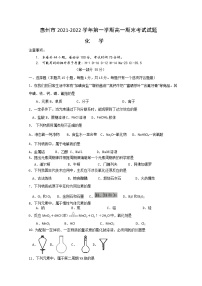 广东省惠州市2021-2022学年高一上学期期末考试化学含答案