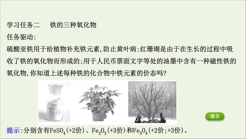 浙江专用高中化学课时检测14铁及其氧化物课件新人教版必修第一册08