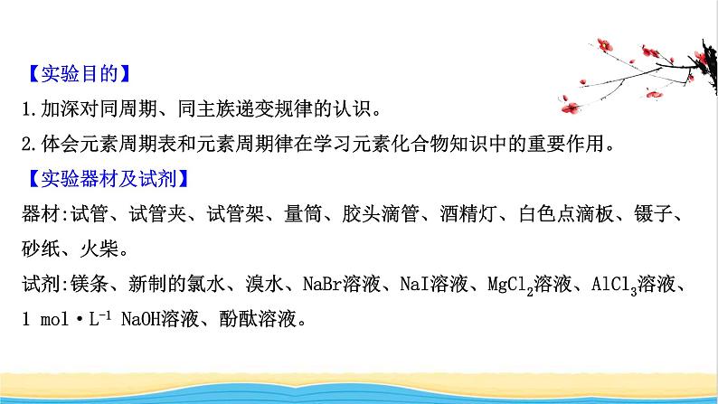 浙江专用高中化学实验活动3同周期同主族元素性质的递变课件新人教版必修第一册2第2页