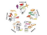 高中化学必修2课件全集：第3章 第4节 基本营养物质