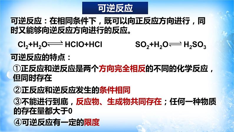 6.2.3 化学反应的限度（精品课件）第3页