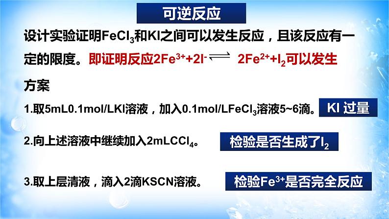 6.2.3 化学反应的限度（精品课件）第4页