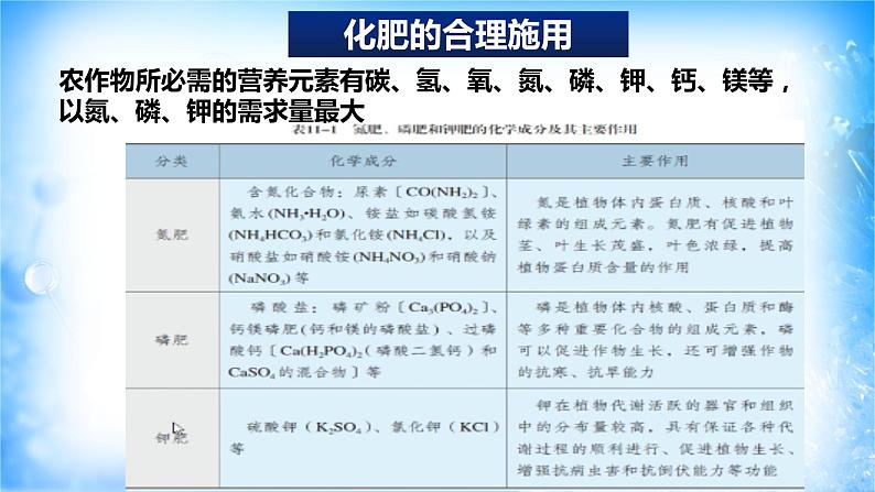 8.2.1化肥和农药的合理施用（精品课件）第4页