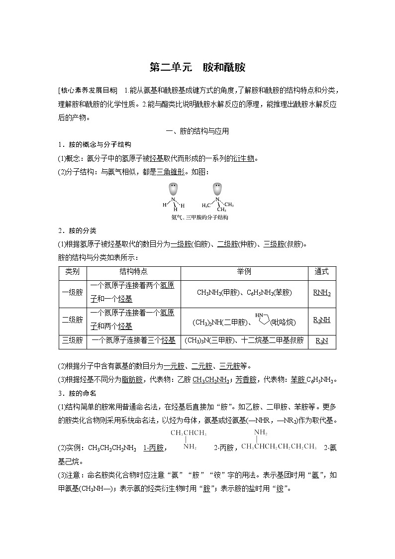 高中化学苏教版（2021）选择性必修3 专题5 第二单元　胺和酰胺（学案+课时练 word版含解析）01