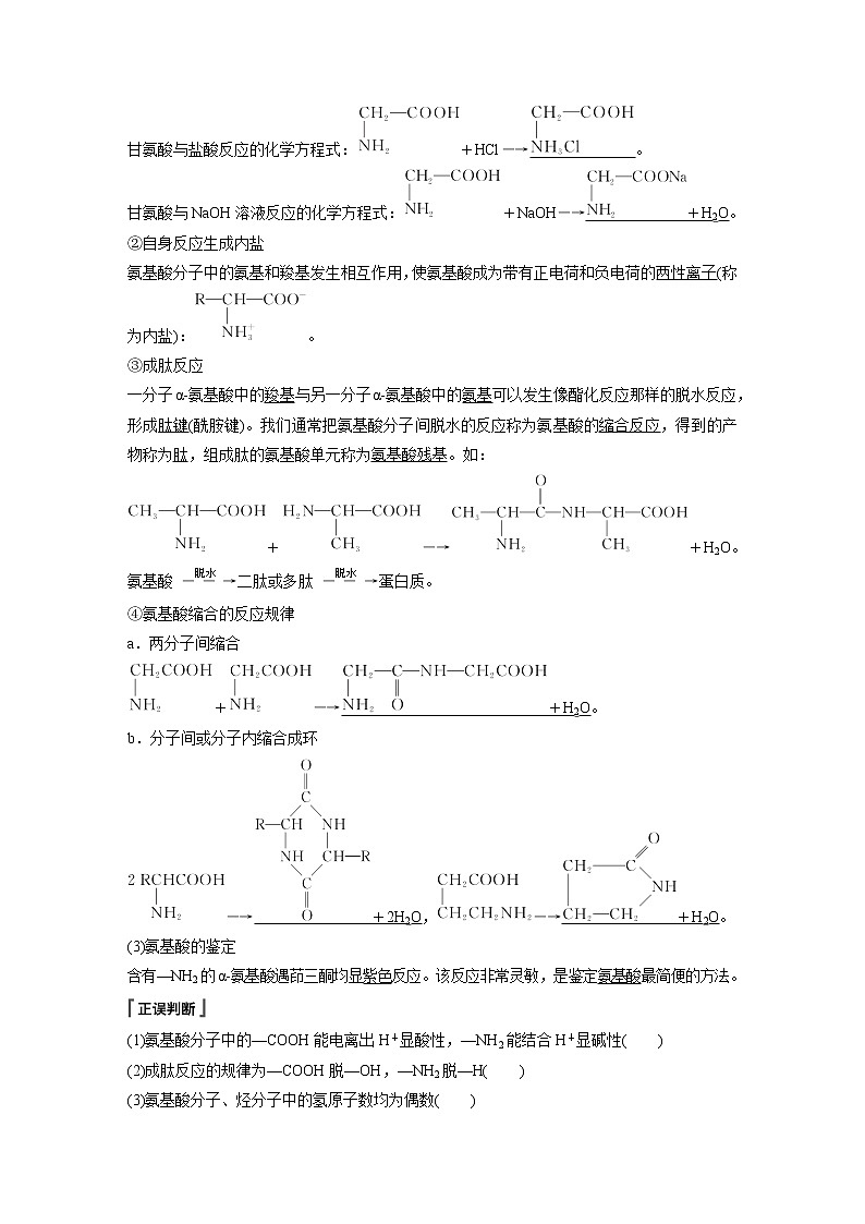 高中化学苏教版（2021）选择性必修3 专题6 第二单元 第1课时　氨基酸、蛋白质（学案+课时练 word版含解析）02