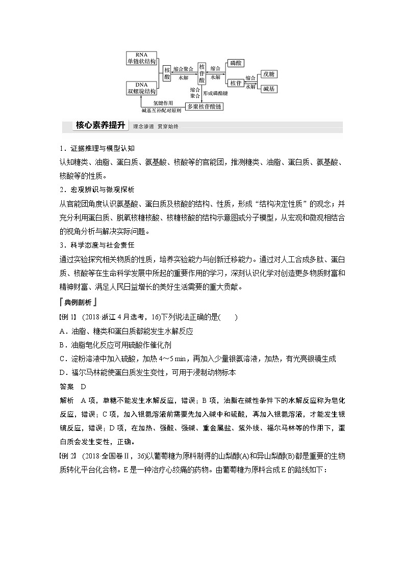 高中化学苏教版（2021）选择性必修3 专题6　生命活动的物质基础——糖类、油脂、蛋白质 专题知识体系构建与核心素养提升（学案+ word版含解析）02