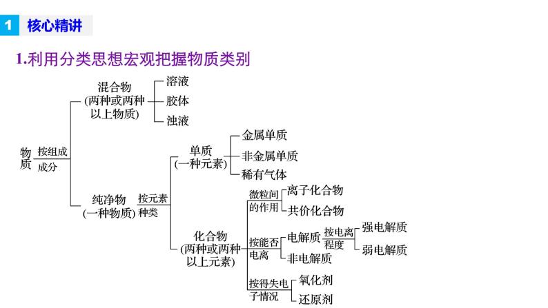 高三化学二轮复习-专题一 物质的组成和分类及变化学案05