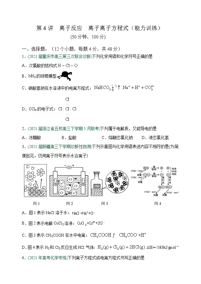 第4讲  离子反应  离子离子方程式（能力训练）(原卷版）第1页
