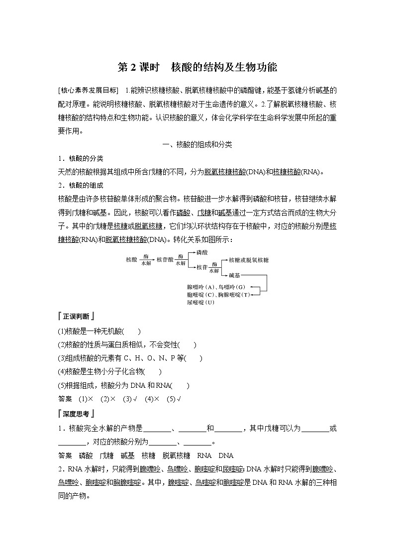 高中化学苏教版（2021）选择性必修3 专题6 第二单元 第2课时　核酸的结构及生物功能（学案+课时练 word版含解析）01