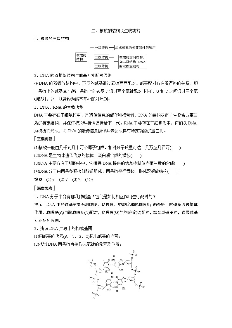 高中化学苏教版（2021）选择性必修3 专题6 第二单元 第2课时　核酸的结构及生物功能（学案+课时练 word版含解析）02