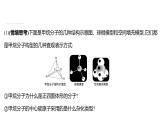 2021-2022学年高中化学新鲁科版选择性必修2 第2章 第2节 第1课时杂化轨道理论 课件（38张）