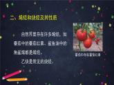 烴（二）-課件 高中化學(xué)新魯科版選擇性必修3（2021-2022）