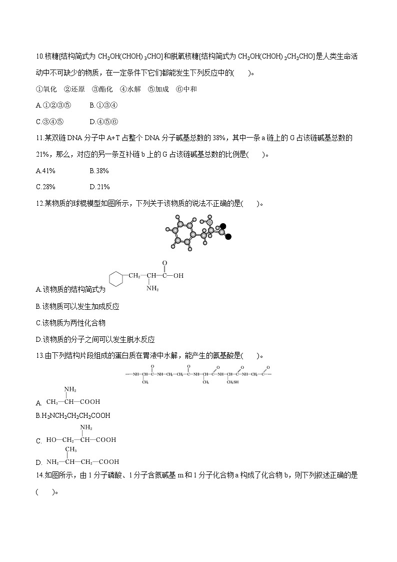第4章过关检测　有机化合物的分类  课时练习  高中化学人教版选择性必修3（2022年）03