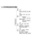 2021-2022学年高中化学新鲁科版选择性必修2 第3章不同聚集状态的物质与性质复习 课件（15张）