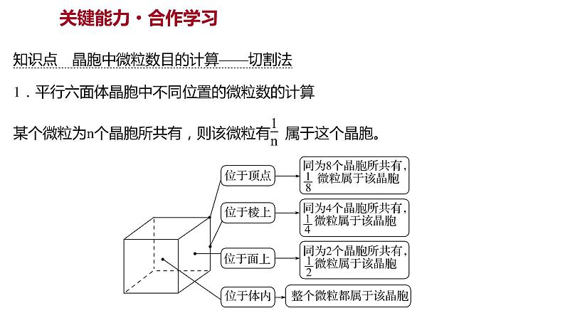 2021-2022学年高中化学新鲁科版选择性必修2 第3章 第1节 第2课时晶体结构的基本重复单元——晶胞 课件（43张）08