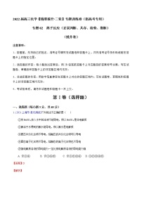 专题02 离子反应（正误判断、共存、检验、推断）（提升卷）-2022届高三化学【精准提升·二轮】专题训练卷（新高考专用）（解析版）