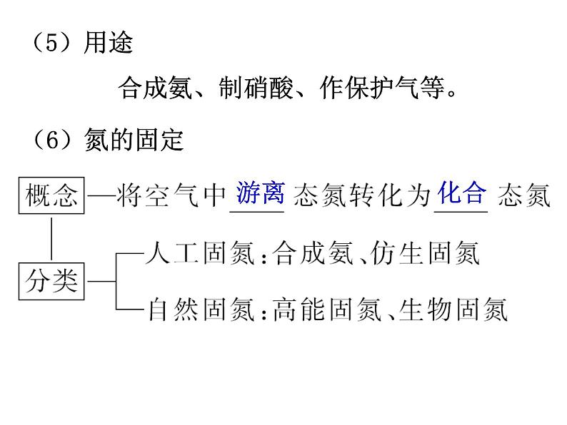 氮及其化合物课件PPT第6页