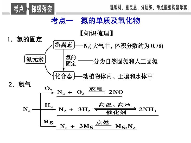 氮及其化合物复习课件第3页