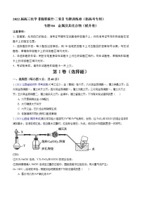 专题06 金属及其化合物（提升卷）-2022届高三化学【精准提升·二轮】专题训练卷（新高考专用）（原卷版）