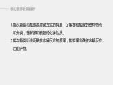 高中化学苏教版（2021）选择性必修3 专题5  第二单元　胺和酰胺（74张PPT）