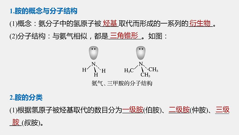 高中化学苏教版（2021）选择性必修3 专题5  第二单元　胺和酰胺（74张PPT）05