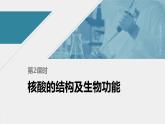 高中化学苏教版（2021）选择性必修3 专题6  第二单元 第2课时　核酸的结构及生物功能（56张PPT）