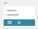 高中化学苏教版（2021）选择性必修3 专题6  第二单元 第2课时　核酸的结构及生物功能（56张PPT）