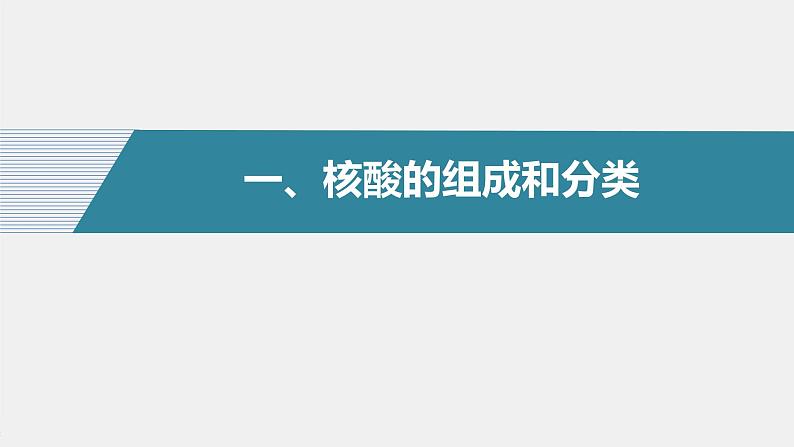 高中化学苏教版（2021）选择性必修3 专题6  第二单元 第2课时　核酸的结构及生物功能（56张PPT）04