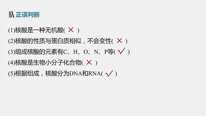 高中化学苏教版（2021）选择性必修3 专题6  第二单元 第2课时　核酸的结构及生物功能（56张PPT）07