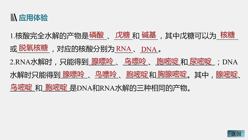 高中化学苏教版（2021）选择性必修3 专题6  第二单元 第2课时　核酸的结构及生物功能（56张PPT）08