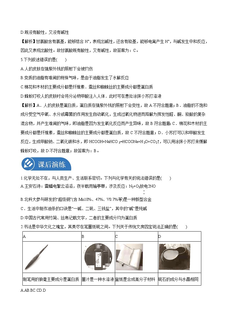第四章  第二节  蛋白质 核酸  学案    高中化学新人教版选择性必修3（2022年）03