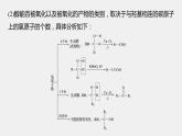 高中化学苏教版（2021）选择性必修3 专题4 微专题4　醇的消去和催化氧化反应规律（14张PPT）