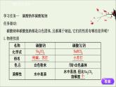 浙江专用2021_2022学年高中化学课时检测8钠盐及其焰色试验课件人教版必修第一册
