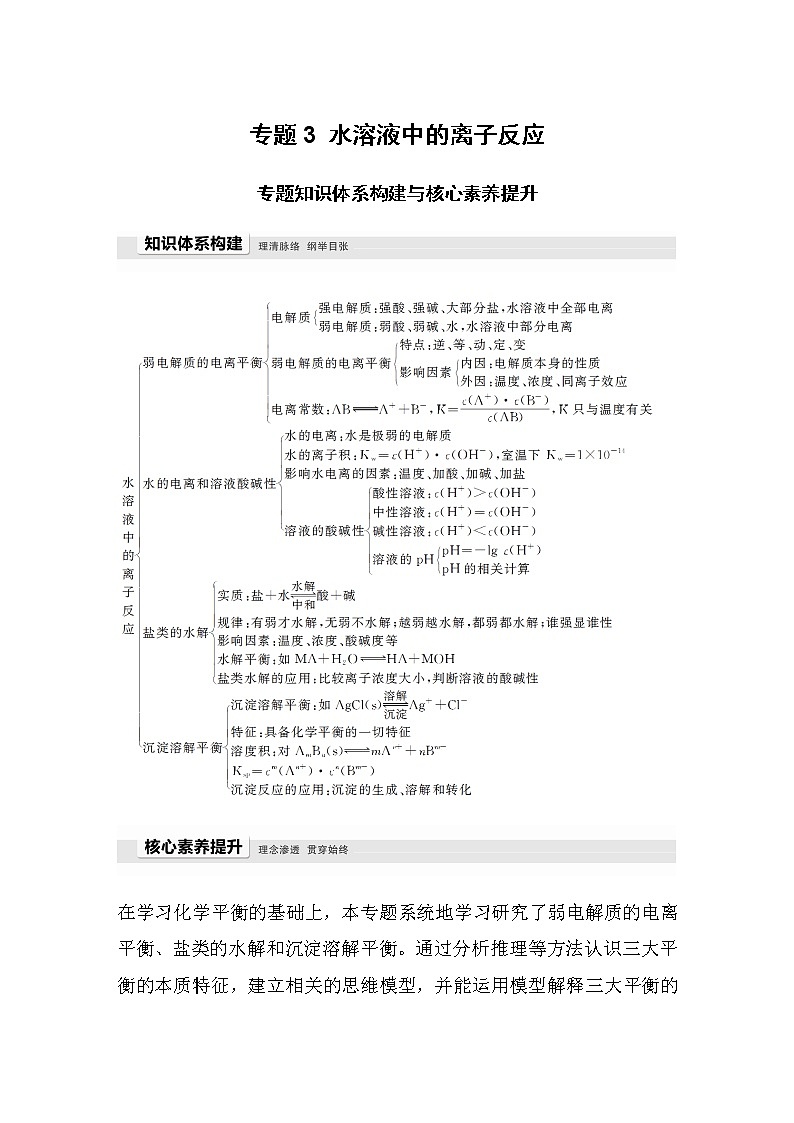 高中化学苏教版（2019）选择性必修1 专题3 水溶液中的离子反应 专题知识体系构建与核心素养提升学案01
