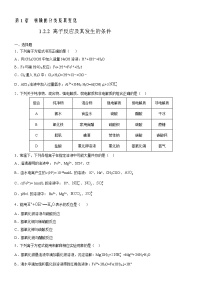 高中化学人教版 (2019)必修 第一册第二节 离子反应精品精练