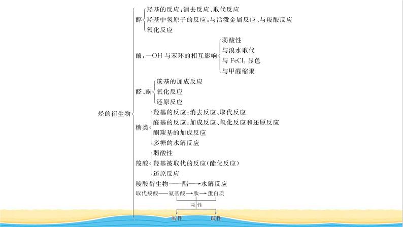 高中化学第2章官能团与有机化学反应烃的衍生物本章整合课件鲁科版选择性必修3第4页