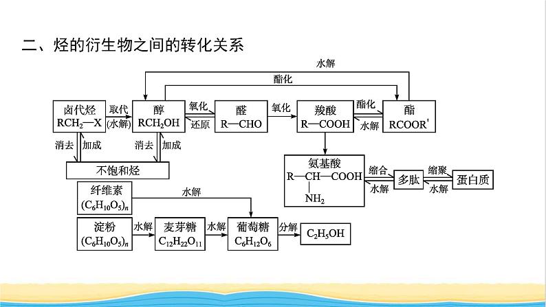 高中化学第2章官能团与有机化学反应烃的衍生物本章整合课件鲁科版选择性必修3第5页