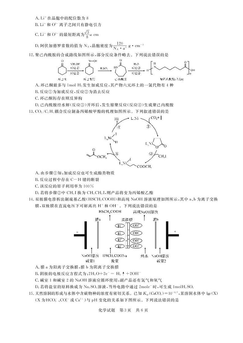 2022年3月八省八校全国卷T8新八校高三第二次联考化学试题含答案第3页