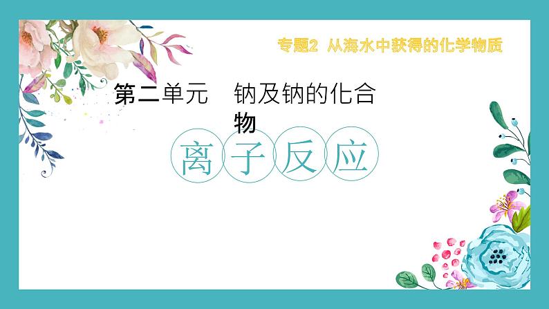 专题3第二单元钠及钠的化合物离子反应课件2021-2022学年上学期高一化学苏教版（2019）必修第一册01