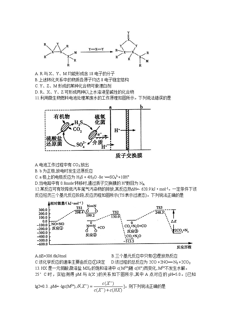 2022济源、平顶山、许昌高三第二次质量检测（二模）理综化学含答案第2页
