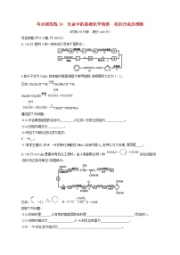 高考化学一轮复习考点规范练34《生命中的基础化学物质有机合成及推断》(含详解)