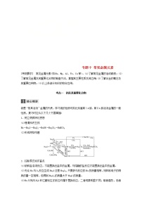 高考化学二轮专题复习讲与练专题10《常见金属元素》(含详解)