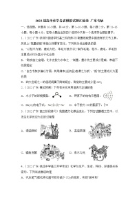 2022届高考化学模拟试题 广东专版（含答案）