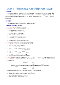 热点5 常见元素及其化合物的性质与应用- 高考化学专练【热点·重点·难点】